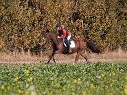 2018 Hubertusjagt Storstrøms Jagtrideklub